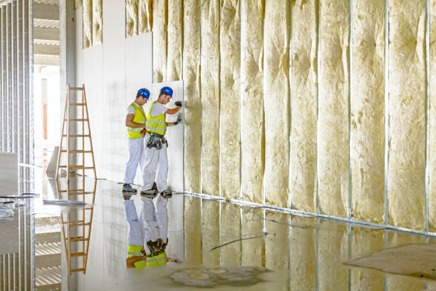 Best Residential Insulation in Bethpage, NY